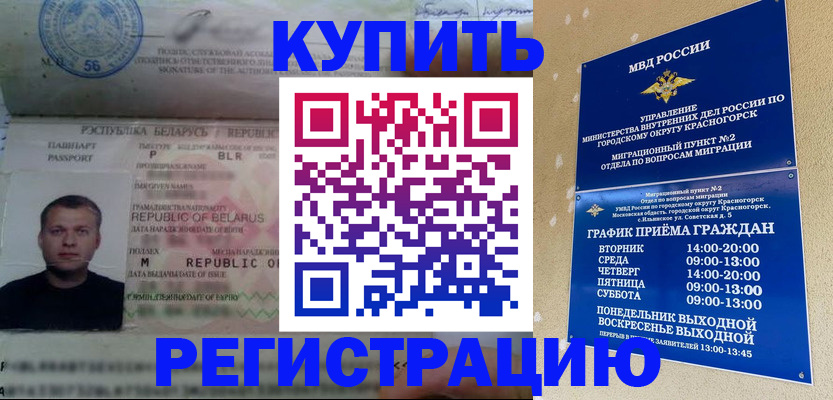 прописка законно в Сольцах